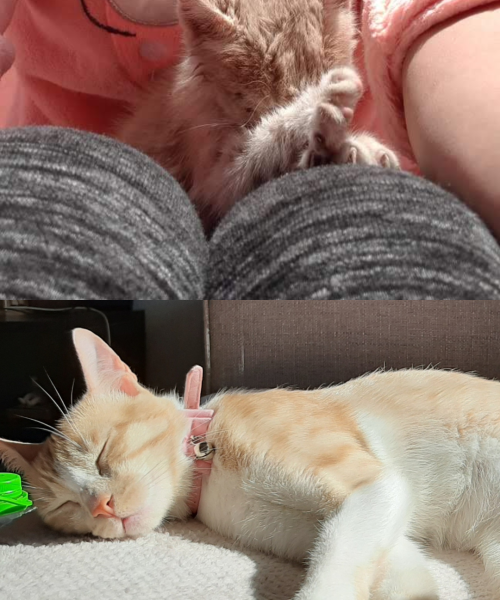 Beige And Blue Minimalist Photo Collage Instagram Story (1)