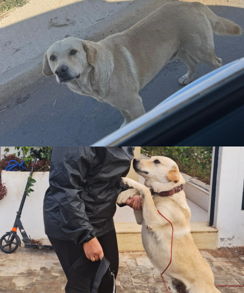 Beige And Blue Minimalist Photo Collage Instagram Story