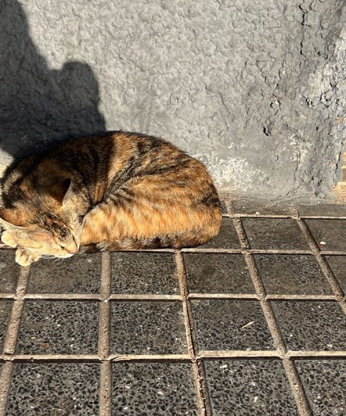 PHOTO-2025-03-23-17-21-44