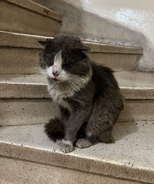 PHOTO-2025-03-23-18-36-30