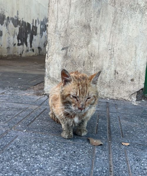 PHOTO-2025-03-24-17-42-07