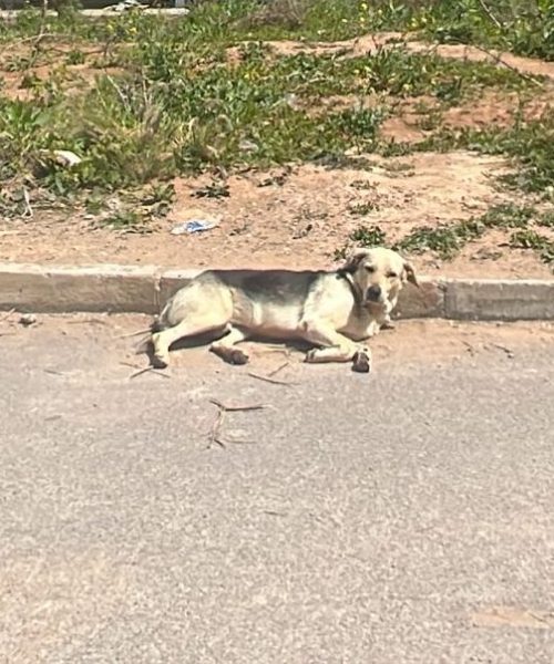 PHOTO-2025-03-31-11-53-56